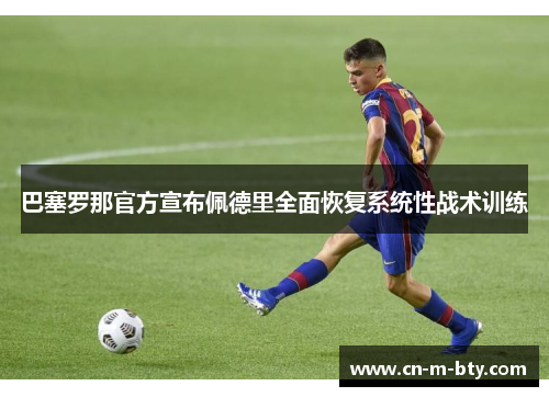 巴塞罗那官方宣布佩德里全面恢复系统性战术训练