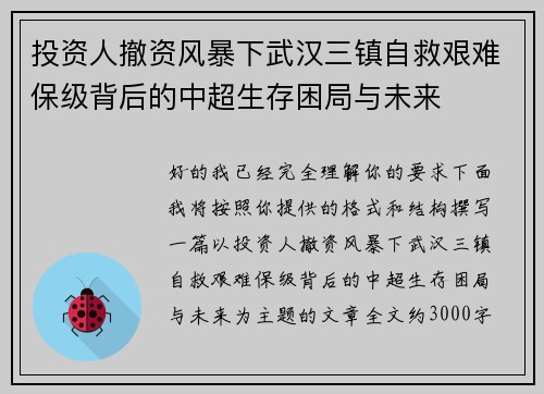 投资人撤资风暴下武汉三镇自救艰难保级背后的中超生存困局与未来