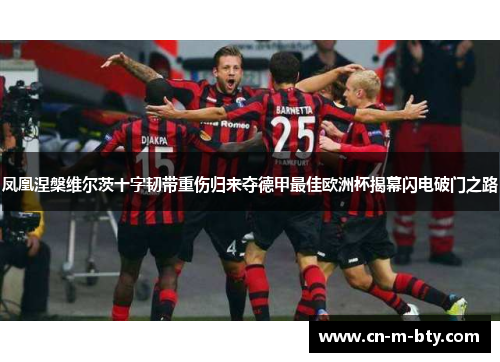 凤凰涅槃维尔茨十字韧带重伤归来夺德甲最佳欧洲杯揭幕闪电破门之路 凤凰涅槃维尔茨十字韧带重伤归来夺德甲最佳欧洲杯揭幕闪电破门之路